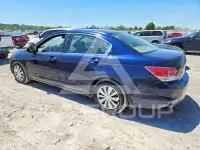 2010 Honda Accord фото