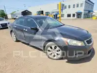 2010 Honda Accord photo