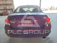 2010 Honda Accord photo