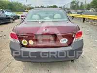 2010 Honda Accord photo