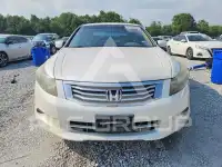 2010 Honda Accord photo