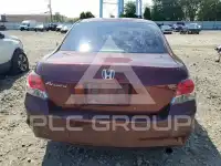 2010 Honda Accord фото