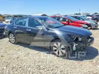 2010 Honda Accord фото