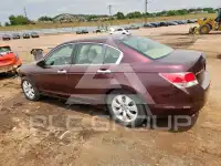 2010 Honda Accord photo