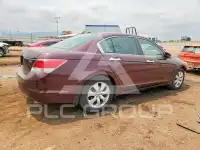 2010 Honda Accord photo