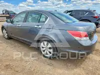 2010 Honda Accord photo