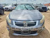 2010 Honda Accord photo