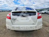 2010 Honda Accord фото
