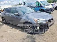 2010 Honda Accord photo