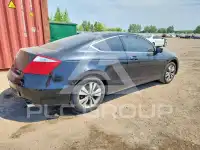 2010 Honda Accord фото