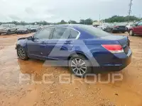 2010 Honda Accord фото