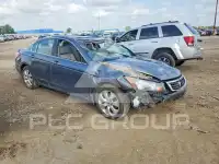 2010 Honda Accord фото