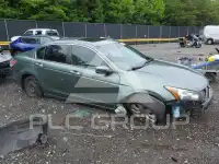 2010 Honda Accord фото