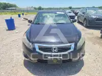 2010 Honda Accord фото
