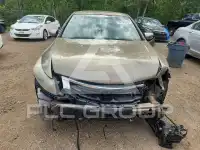 2010 Honda Accord фото