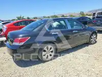 2010 Honda Accord фото