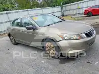 2010 Honda Accord фото