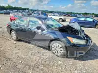 2010 Honda Accord photo