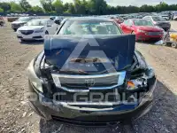 2010 Honda Accord photo