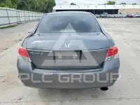 2010 Honda Accord фото