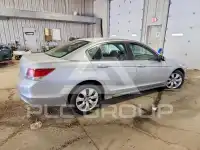 2010 Honda Accord photo