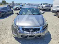 2010 Honda Accord фото