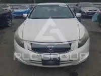 2010 Honda Accord фото