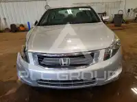 2010 Honda Accord photo
