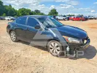 2010 Honda Accord фото