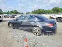2010 Honda Accord photo