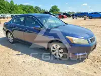 2010 Honda Accord photo
