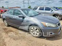 2010 Honda Accord photo