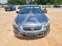 2010 Honda Accord фото