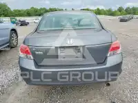 2010 Honda Accord photo