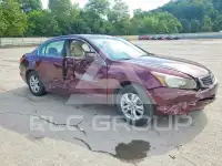2010 Honda Accord фото