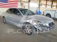 2010 Honda Accord photo