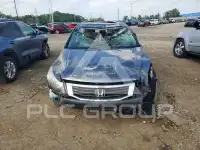 2010 Honda Accord фото