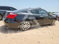 2010 Honda Accord фото