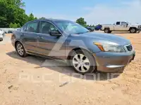 2010 Honda Accord фото