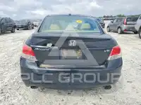 2010 Honda Accord фото