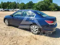 2010 Honda Accord photo