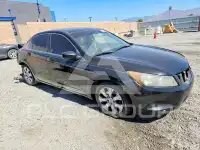2010 Honda Accord фото