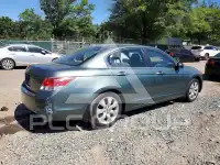 2010 Honda Accord photo