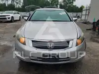 2010 Honda Accord photo