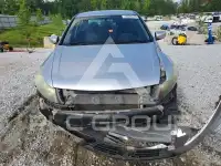 2010 Honda Accord photo