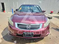 2010 Honda Accord photo