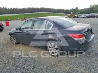2010 Honda Accord фото