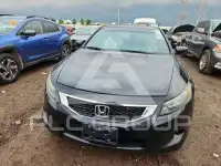 2010 Honda Accord фото