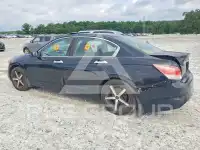 2010 Honda Accord фото