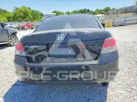2010 Honda Accord фото
